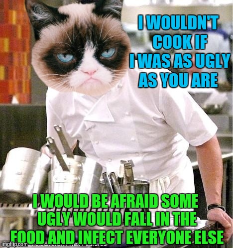 Chef Gordon Grumpy | I WOULDN'T COOK IF I WAS AS UGLY AS YOU ARE; I WOULD BE AFRAID SOME UGLY WOULD FALL IN THE FOOD AND INFECT EVERYONE ELSE | image tagged in memes,funny,grumpy cat,chef gordon ramsay,cooking,food | made w/ Imgflip meme maker