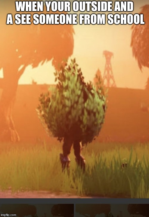 Fortnite bush | WHEN YOUR OUTSIDE AND A SEE SOMEONE FROM SCHOOL | image tagged in fortnite bush | made w/ Imgflip meme maker