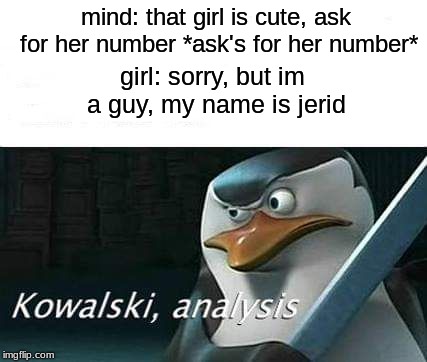 kowalski, analysis | mind: that girl is cute, ask for her number *ask's for her number*; girl: sorry, but im a guy, my name is jerid | image tagged in kowalski analysis | made w/ Imgflip meme maker