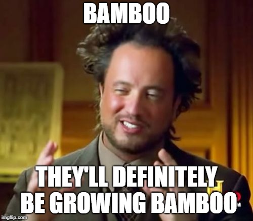 Ancient Aliens Meme | BAMBOO; THEY'LL DEFINITELY BE GROWING BAMBOO | image tagged in memes,ancient aliens | made w/ Imgflip meme maker