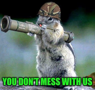 Bazooka Squirrel Meme | YOU DON’T MESS WITH US | image tagged in memes,bazooka squirrel | made w/ Imgflip meme maker