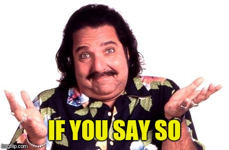 Ron Jeremy | IF YOU SAY SO | image tagged in ron jeremy | made w/ Imgflip meme maker