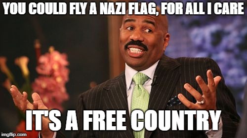 Steve Harvey Meme | YOU COULD FLY A NAZI FLAG, FOR ALL I CARE IT'S A FREE COUNTRY | image tagged in memes,steve harvey | made w/ Imgflip meme maker