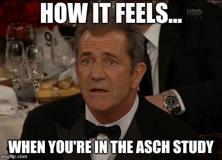 Confused Mel Gibson Meme | HOW IT FEELS... WHEN YOU'RE IN THE ASCH STUDY | image tagged in memes,confused mel gibson | made w/ Imgflip meme maker