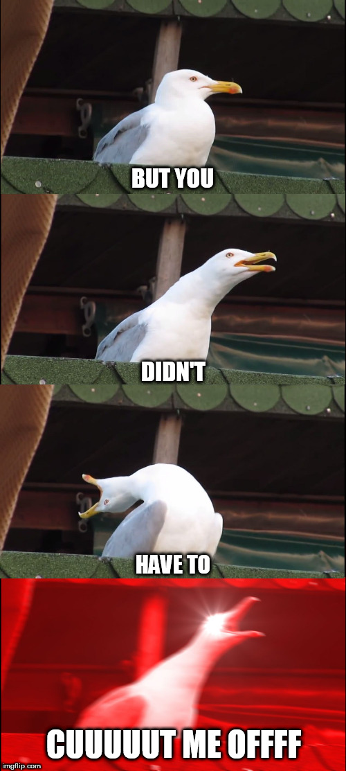 Based on some meme that we used to know | BUT YOU; DIDN'T; HAVE TO; CUUUUUT ME OFFFF | image tagged in memes,inhaling seagull | made w/ Imgflip meme maker