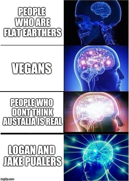 Expanding Brain | PEOPLE WHO ARE FLAT EARTHERS; VEGANS; PEOPLE WHO DONT THINK AUSTALIA IS REAL; LOGAN AND JAKE PUALERS | image tagged in memes,expanding brain | made w/ Imgflip meme maker