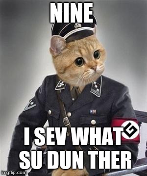 Grammar Nazi Cat | NINE; I SEV WHAT SU DUN THER | image tagged in grammar nazi cat | made w/ Imgflip meme maker