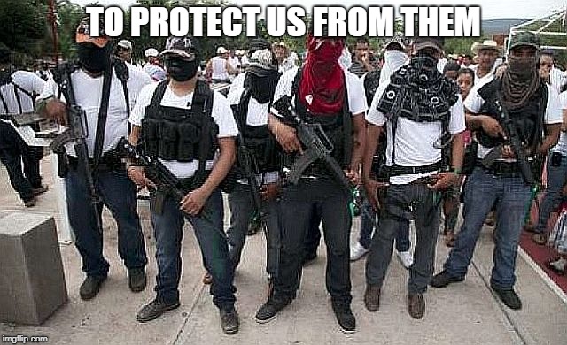 Ask the Cartel | TO PROTECT US FROM THEM | image tagged in ask the cartel | made w/ Imgflip meme maker