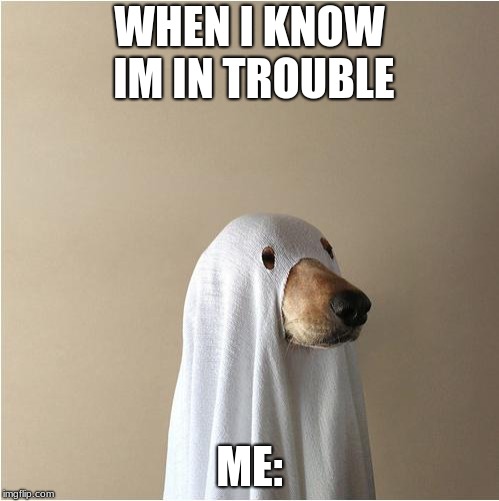 when you know your in trouble | WHEN I KNOW IM IN TROUBLE; ME: | image tagged in ghost doge | made w/ Imgflip meme maker