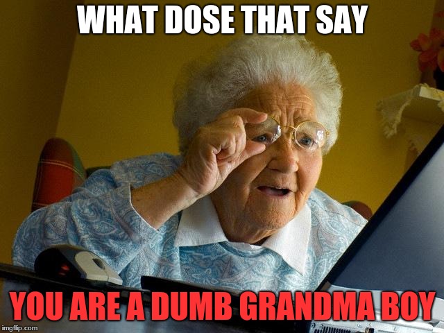 Grandma Finds The Internet | WHAT DOSE THAT SAY; YOU ARE A DUMB GRANDMA BOY | image tagged in memes,grandma finds the internet | made w/ Imgflip meme maker