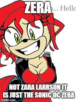 Zera exe | ZERA; NOT ZARA LARRSON IT IS JUST THE SONIC OC ZERA | image tagged in funny | made w/ Imgflip meme maker