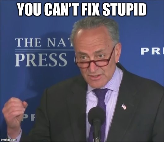 mean spirited | YOU CAN’T FIX STUPID | image tagged in mean spirited | made w/ Imgflip meme maker