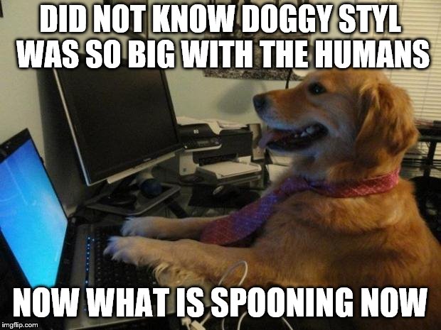 did not know that | DID NOT KNOW DOGGY STYL WAS SO BIG WITH THE HUMANS; NOW WHAT IS SPOONING NOW | image tagged in dog behind a computer,dog funny,funny dog,funny dog memes,funny memes,funny meme | made w/ Imgflip meme maker