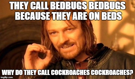One Does Not Simply | THEY CALL BEDBUGS BEDBUGS BECAUSE THEY ARE ON BEDS; WHY DO THEY CALL COCKROACHES COCKROACHES? | image tagged in memes,one does not simply | made w/ Imgflip meme maker