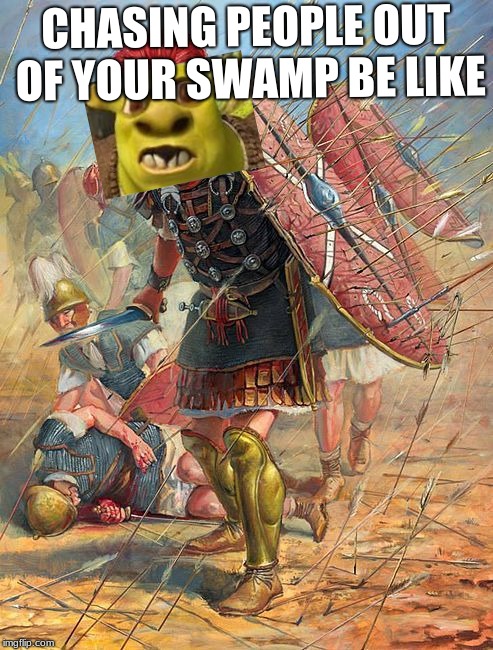 Roman Soldier | CHASING PEOPLE OUT OF YOUR SWAMP BE LIKE | image tagged in roman soldier | made w/ Imgflip meme maker