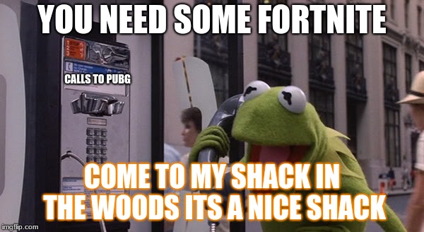 Kermit Phone | YOU NEED SOME FORTNITE; CALLS TO PUBG; COME TO MY SHACK IN THE WOODS ITS A NICE SHACK | image tagged in kermit phone | made w/ Imgflip meme maker