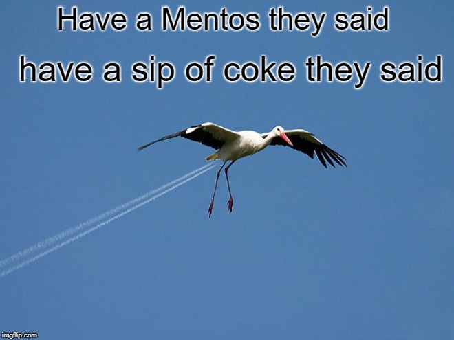 mentos and coke | Have a Mentos they said; have a sip of coke they said | image tagged in com trail,stork,mentos | made w/ Imgflip meme maker