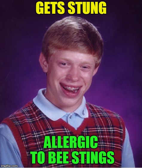 Bad Luck Brian Meme | GETS STUNG ALLERGIC TO BEE STINGS | image tagged in memes,bad luck brian | made w/ Imgflip meme maker