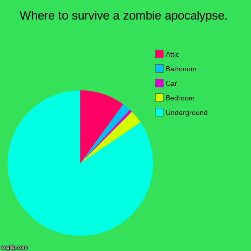 Where to survive a zombie apocalypse. | Underground, Bedroom, Car, Bathroom, Attic | image tagged in funny,pie charts | made w/ Imgflip chart maker