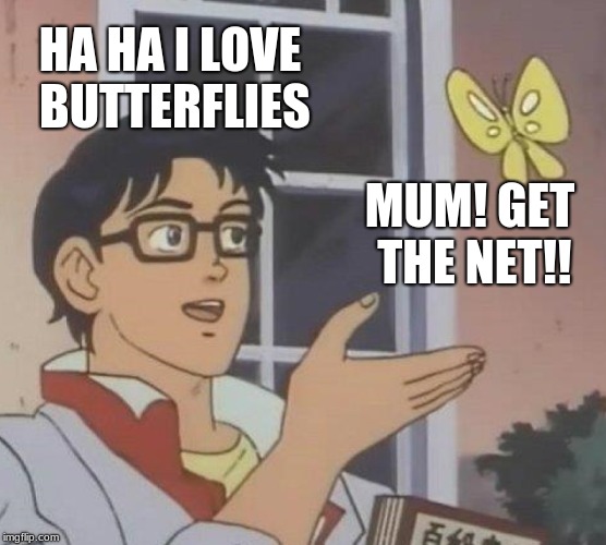 Is This A Pigeon Meme | HA HA I LOVE BUTTERFLIES; MUM! GET THE NET!! | image tagged in memes,is this a pigeon | made w/ Imgflip meme maker