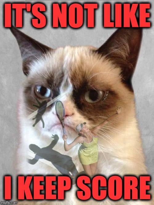 IT'S NOT LIKE I KEEP SCORE | image tagged in grumpy cat tennis | made w/ Imgflip meme maker