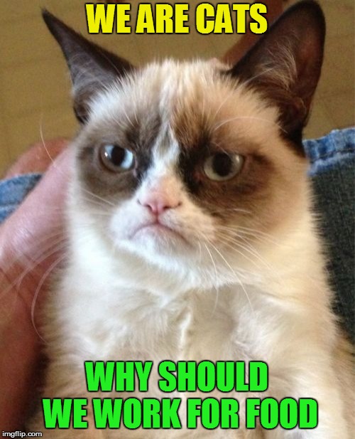 Grumpy Cat Meme | WE ARE CATS WHY SHOULD WE WORK FOR FOOD | image tagged in memes,grumpy cat | made w/ Imgflip meme maker