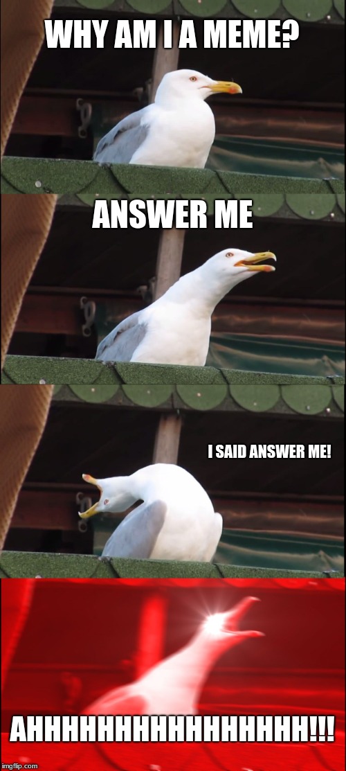 Inhaling Seagull Meme | WHY AM I A MEME? ANSWER ME; I SAID ANSWER ME! AHHHHHHHHHHHHHHHH!!! | image tagged in memes,inhaling seagull | made w/ Imgflip meme maker