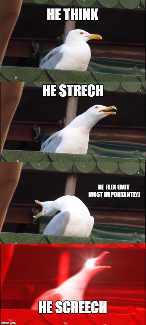 Inhaling Seagull | HE THINK; HE STRECH; HE FLEX
(BUT MOST IMPORTANTLY); HE SCREECH | image tagged in memes,inhaling seagull | made w/ Imgflip meme maker