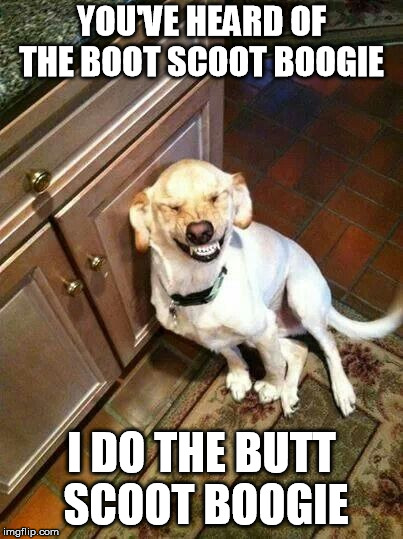 Smiling Dog | YOU'VE HEARD OF THE BOOT SCOOT BOOGIE; I DO THE BUTT SCOOT BOOGIE | image tagged in smiling dog | made w/ Imgflip meme maker