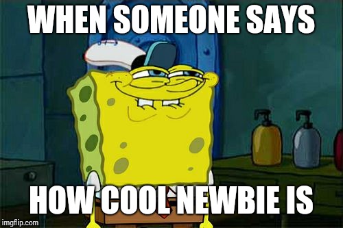 Don't You Squidward Meme | WHEN SOMEONE SAYS; HOW COOL NEWBIE IS | image tagged in memes,dont you squidward | made w/ Imgflip meme maker