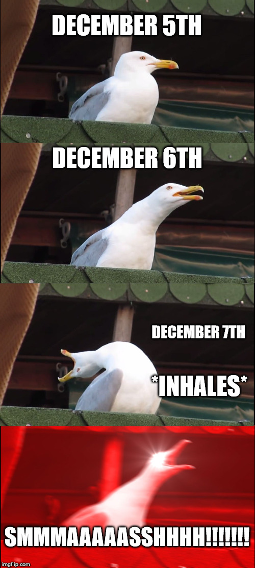 Inhaling Seagull | DECEMBER 5TH; DECEMBER 6TH; DECEMBER 7TH; *INHALES*; SMMMAAAAASSHHHH!!!!!!! | image tagged in memes,inhaling seagull | made w/ Imgflip meme maker