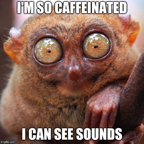 tarsier | I'M SO CAFFEINATED; I CAN SEE SOUNDS | image tagged in tarsier | made w/ Imgflip meme maker