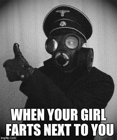 gas masked nazi | WHEN YOUR GIRL FARTS NEXT TO YOU | image tagged in gas masked nazi | made w/ Imgflip meme maker