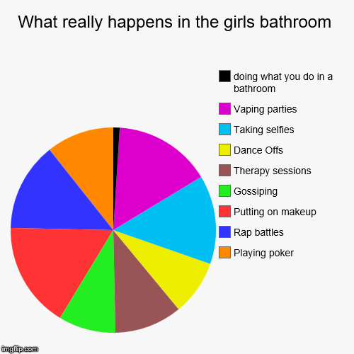 What really happens in the girls bathroom | Playing poker, Rap battles, Putting on makeup, Gossiping, Therapy sessions, Dance Offs, Taking s | image tagged in funny,pie charts | made w/ Imgflip chart maker