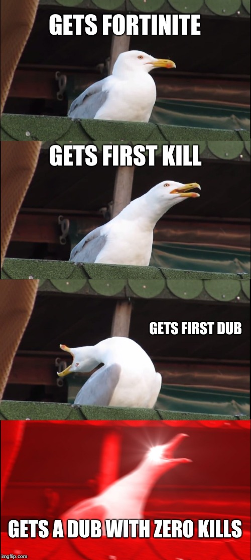 Inhaling Seagull Meme | GETS FORTINITE; GETS FIRST KILL; GETS FIRST DUB; GETS A DUB WITH ZERO KILLS | image tagged in memes,inhaling seagull | made w/ Imgflip meme maker