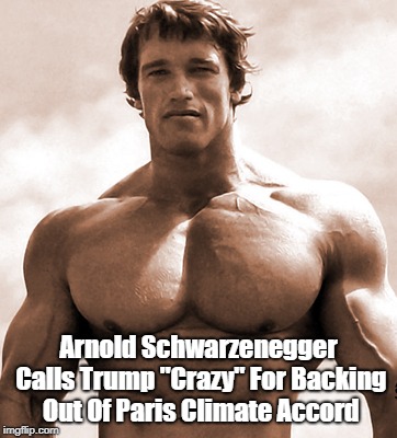 Arnold Schwarzenegger Calls Trump "Crazy" For Backing Out Of Paris Climate Accord | made w/ Imgflip meme maker