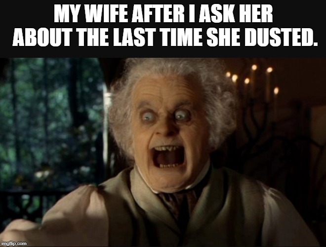 Dusting Is Wife Kryptonite | MY WIFE AFTER I ASK HER ABOUT THE LAST TIME SHE DUSTED. | image tagged in dust,skin,wives | made w/ Imgflip meme maker