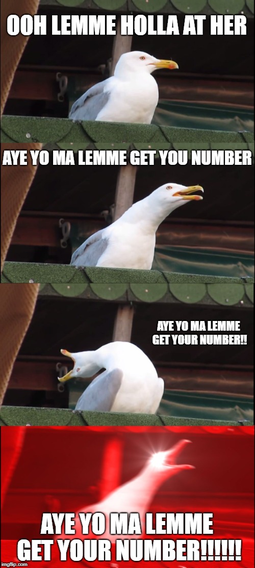 Inhaling Seagull Meme |  OOH LEMME HOLLA AT HER; AYE YO MA LEMME GET YOU NUMBER; AYE YO MA LEMME GET YOUR NUMBER!! AYE YO MA LEMME GET YOUR NUMBER!!!!!! | image tagged in memes,inhaling seagull | made w/ Imgflip meme maker