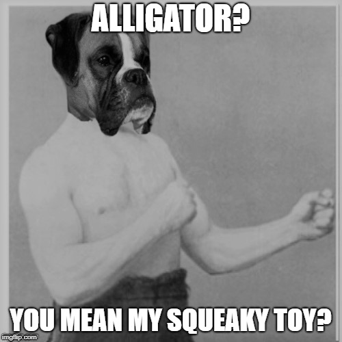 ALLIGATOR? YOU MEAN MY SQUEAKY TOY? | made w/ Imgflip meme maker