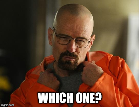 Walter white Approves | WHICH ONE? | image tagged in walter white approves | made w/ Imgflip meme maker