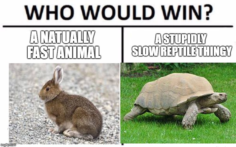 Who Would Win? Meme | A NATUALLY FAST ANIMAL; A STUPIDLY SLOW REPTILE THINGY | image tagged in memes,who would win | made w/ Imgflip meme maker