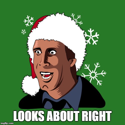 Clark Griswold Cartoon | LOOKS ABOUT RIGHT | image tagged in clark griswold cartoon | made w/ Imgflip meme maker