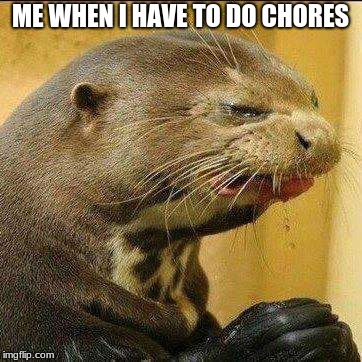 Disgusted Otter | ME WHEN I HAVE TO DO CHORES | image tagged in disgusted otter | made w/ Imgflip meme maker