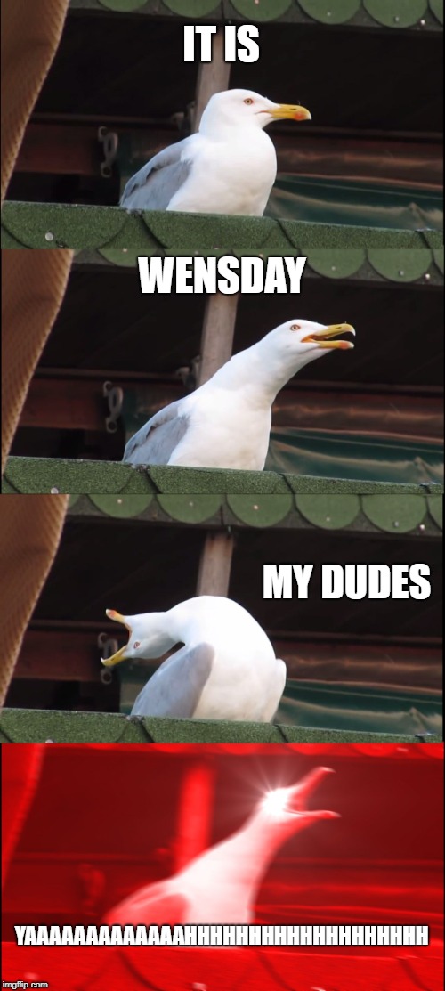 Inhaling Seagull | IT IS; WENSDAY; MY DUDES; YAAAAAAAAAAAAAHHHHHHHHHHHHHHHHHHH | image tagged in memes,inhaling seagull | made w/ Imgflip meme maker