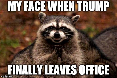 Evil Plotting Raccoon | MY FACE WHEN TRUMP; FINALLY LEAVES OFFICE | image tagged in memes,evil plotting raccoon | made w/ Imgflip meme maker