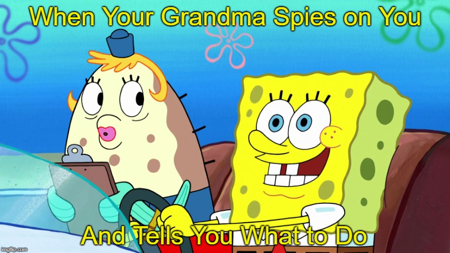 Mrs. Puff and Spongebob | When Your Grandma Spies on You; And Tells You What to Do | image tagged in spongebob driving,grandma,mrs puff,spongebob,spying,driving | made w/ Imgflip meme maker
