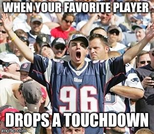 Sports Fans | WHEN YOUR FAVORITE PLAYER; DROPS A TOUCHDOWN | image tagged in sports fans | made w/ Imgflip meme maker