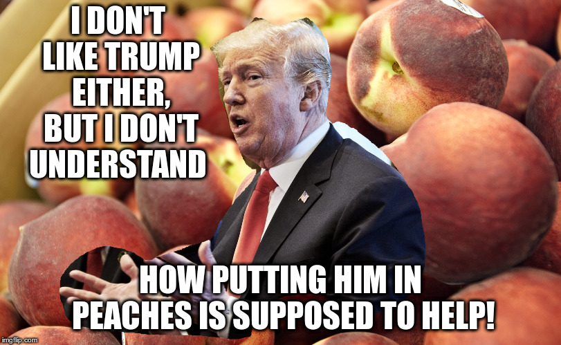 In peach Trump! | I DON'T LIKE TRUMP EITHER, BUT I DON'T UNDERSTAND; HOW PUTTING HIM IN PEACHES IS SUPPOSED TO HELP! | image tagged in trump,humor,impeach,in peaches | made w/ Imgflip meme maker