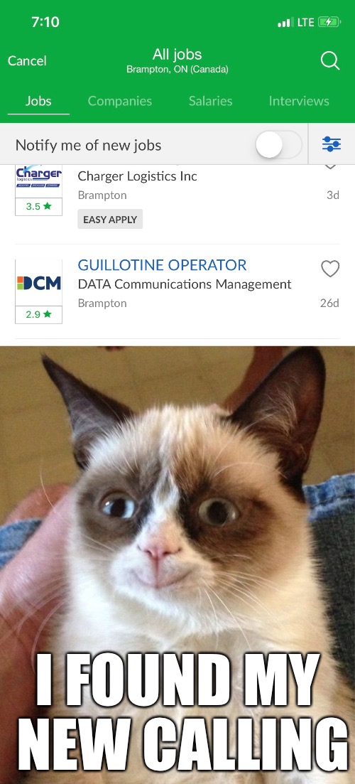 I FOUND MY NEW CALLING | image tagged in memes,grumpy cat happy | made w/ Imgflip meme maker