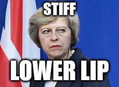 brexit bullshit | STIFF; LOWER LIP | image tagged in brexit bullshit | made w/ Imgflip meme maker